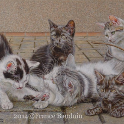 Happy Days - 91 hours
Grey Mounting board
12" x 24"
Laila and her 4th litter Happy Days - 91 hours
Grey Mounting board
12" x 24"
Laila and her 4th litter
